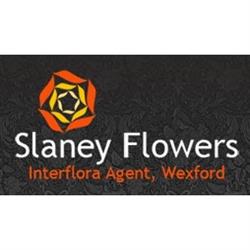 Slaney Flowers in Wexford (Wexford) - Opening Hours