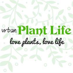 Urban Plant Life in Dublin (8) - Opening Hours