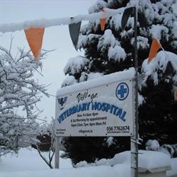 Village Veterinary Hospital in Kilkenny (Kilkenny) - Opening Hours