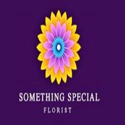 Something Special Florist in Trim (Trim) - Opening Hours