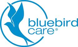 Bluebird Care, Dublin opening hours