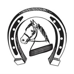 Killarney Jaunting cars Ltd-Tangney Tours Ireland, opening hours
