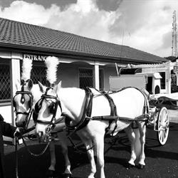 Donnellan Undertakers, Ballyhaunis opening hours