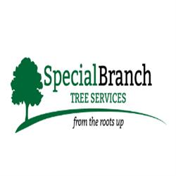 Special Branch Tree Services, opening hours