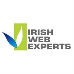 Irish Web Experts in Dublin (2) - Opening Hours