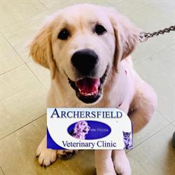 Archersfield Veterinary Clinic, Kilkenny opening hours