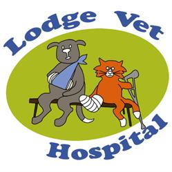 LODGE VETERINARY HOSPITAL, Westport opening hours