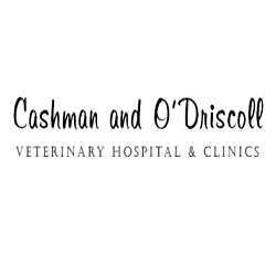 Cashman & O'Driscoll in Glanmire (Glanmire) - Opening Hours