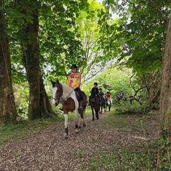 Dromquinna Riding Stables & Open Farm, Kenmare opening hours