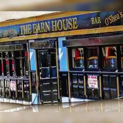 Barn House in Dublin (8) - Opening Hours