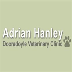 Dooradoyle-Raheen Pet Clinic, opening hours