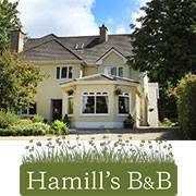 Hamill S Bed & Breakfast, Leitrim opening hours