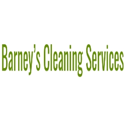Barney's Cleaning Services in Naas (Naas) - Opening Hours