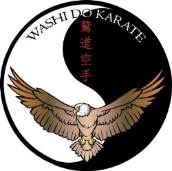 Washi Do Karate, Dublin opening hours