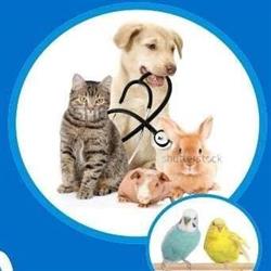 Newcastle West Pet Vet Clinic, opening hours