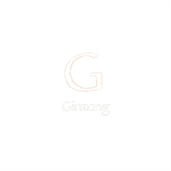 Ginzeng, Newbridge opening hours