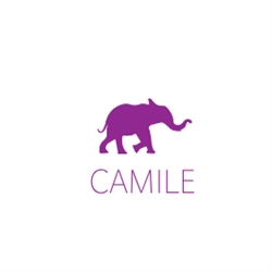 Camile Thai, Dublin opening hours