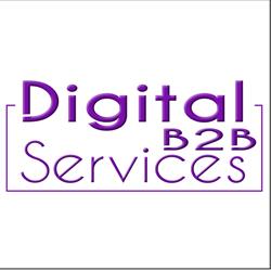 DIGITAL B2B SERVICES LIMITED, Mountmellick opening hours