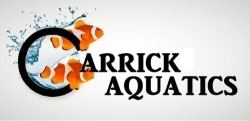 CARRICK AQUATICS, Carrickmacross opening hours