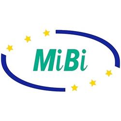 MOTOR INSURERS' BUREAU OF IRELAND, Dublin opening hours