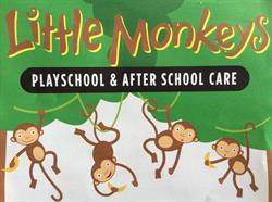 LITTLE MONKEYS PLAYSCHOOL, Dublin opening hours