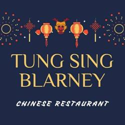 TUNG SING RESTAURANT, Cork opening hours