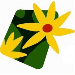 DEEPDALES MONTESSORI, Bray opening hours