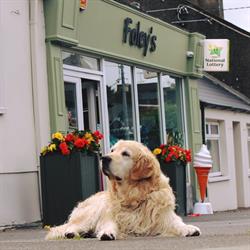 FOLEYS EXPRESS FOODSTORE, Mallow opening hours