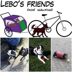 Lebo's Friends, Dog Walking, Dublin opening hours