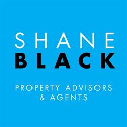 SHANE BLACK PROPERTY ADVISORS & AGENTS LIMITED, Drogheda opening hours