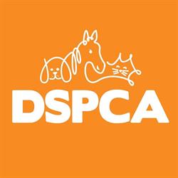 D.S.P.C.A. ANIMAL SHELTER LIMITED, Dublin opening hours