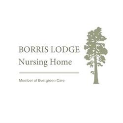 Borris Lodge Nursing Home in Carlow (Borris) - Opening Hours