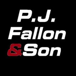 P.J. FALLON & SON, Roscommon opening hours