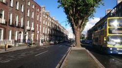 Child & Adolescent Psychotherapy D2, Dublin opening hours