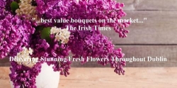 Precious Petals Florists, Dublin, opening hours