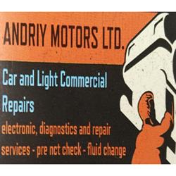 Andriy Motors Ltd in Tullamore (Tullamore) - Opening Hours