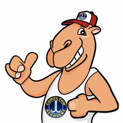 Camel Tow Recovery in Wicklow (Greystones) - Opening Hours