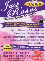 Just Roses, opening hours