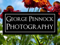 George Pennock Photography, opening hours