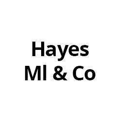 Hayes Ml & Co in Dublin (Crumlin) - Opening Hours
