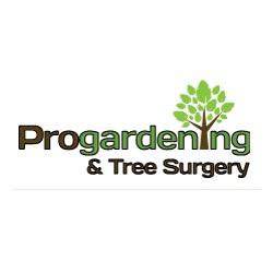 Pro Gardening & Tree Services, Raheen opening hours