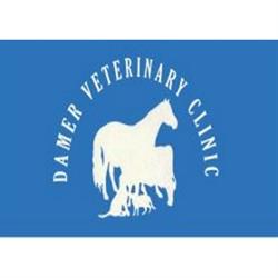 Damer Veterinary Clinic in Roscrea (Roscrea) - Opening Hours