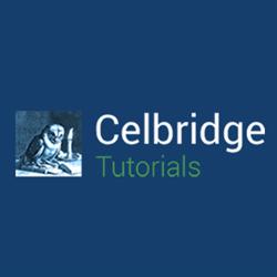 Celbridge Tutorials, opening hours