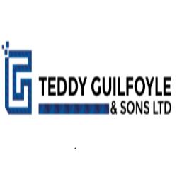 Teddy Guilfoyle & Sons Ltd in Waterford (Waterford) - Opening Hours