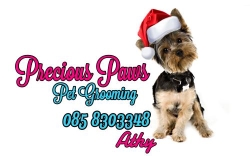 Precious Paws Pet Grooming, Athy opening hours