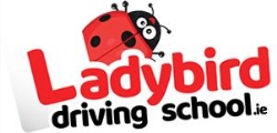 Ladybird Driving School Dublin, opening hours