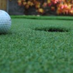 Amazon Golf Greens - Synthetic Putting Greens in Dublin (Rathgar, Dublin 6W) - Opening Hours