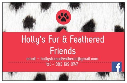 Holly's Fur & Feathered Friends, Athy opening hours