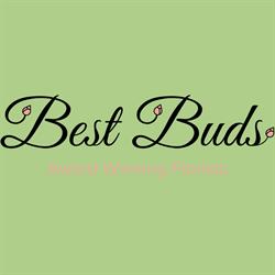 Best Buds in Dublin (Clontarf) - Opening Hours