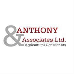 Anthony & Associates Ltd in Cork (Cork) - Opening Hours